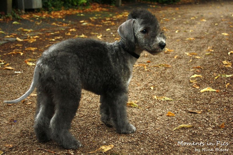 Antares 2009-08-01 & 02 (50).JPG